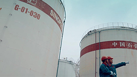 旋力科技项目视频